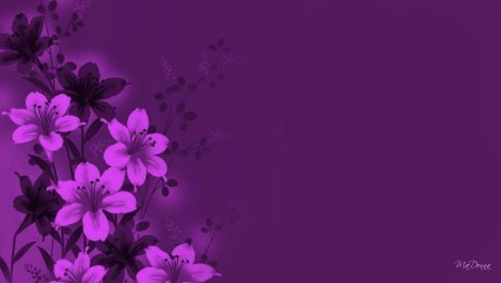Фиолетовые цветы фон
