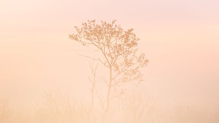 Эстетика в светлых тонах