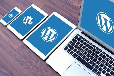 WORDPRESS platformasi