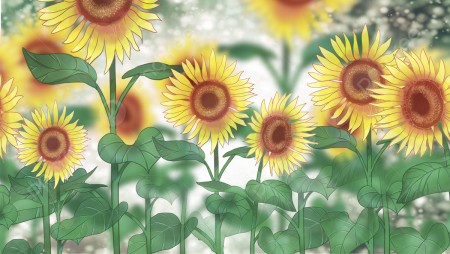 Фон Подсолнухи