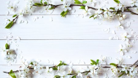 Красивый весенний фон для текста