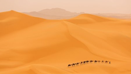 Фон для презентации с пустыней