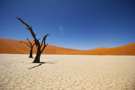 Namib Desert картина пустыня