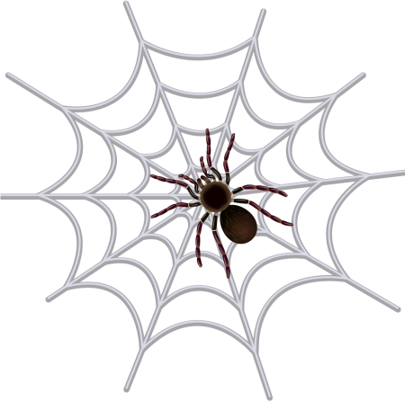 Паук на паутине