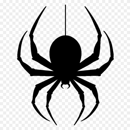 Паук без фона