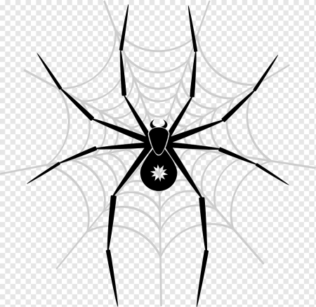 Эскизы тату паук с паутиной