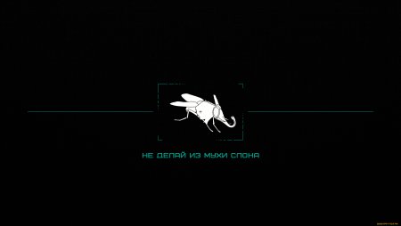 Крутые обои на рабочий стол