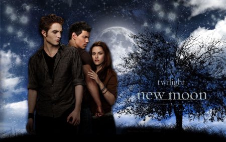 Сумерки New Moon