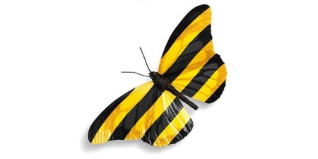 Билайн полоски