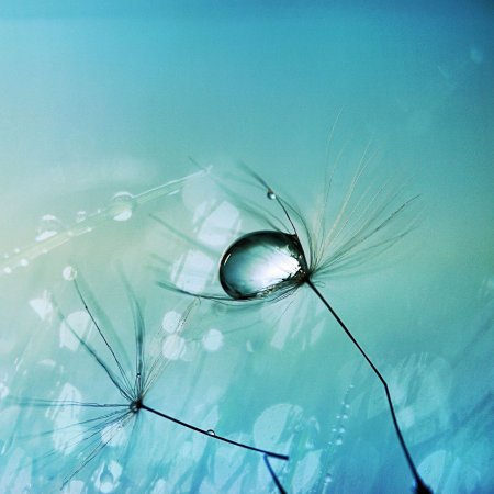 Стильные обои на телефон