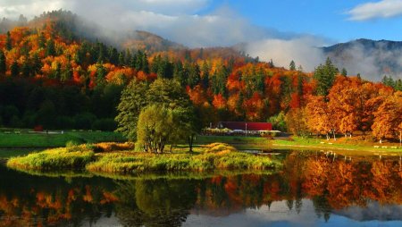 Красивые пейзажи осени