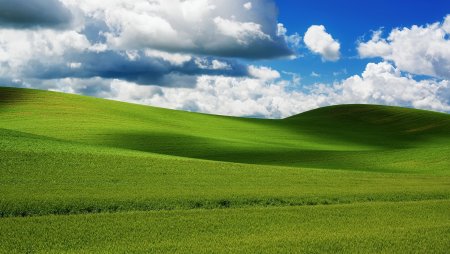 Поле небо