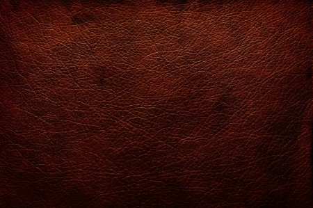 Фактура кожи