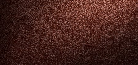 Текстура кожи