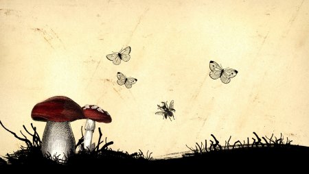 Креативные обои