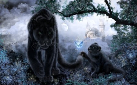 Мистические Дикие кошки