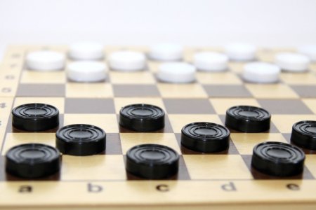 Шашечный турнир «раз, два и в дамки»