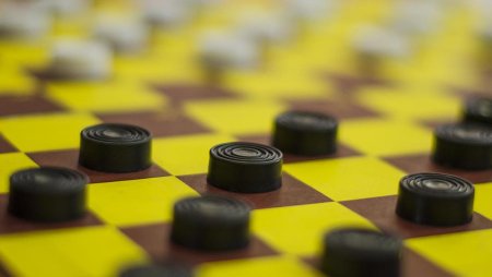 В мире шашек