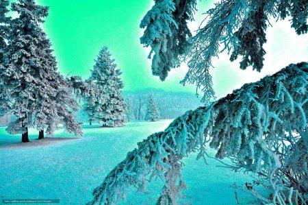 Природа зима