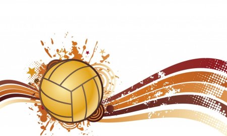 Волейбол на белом фоне