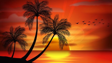 Море пальмы закат