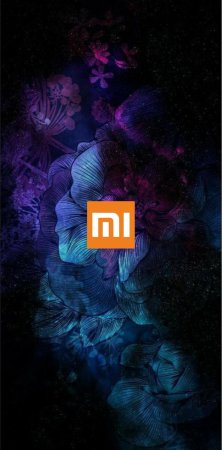 Заставка Сяоми