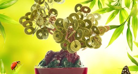 Денежное дерево на рабочий стол