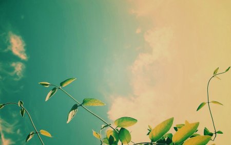 Фон для презентации природа