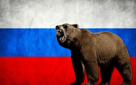 Медведь символ России