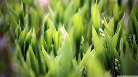 Манзара водопад