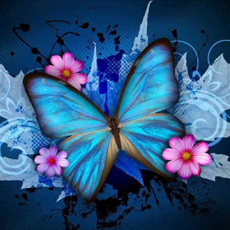 Изображение бабочки