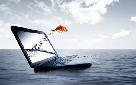 Обои на ноут