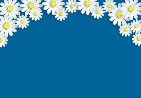 Фон ромашки