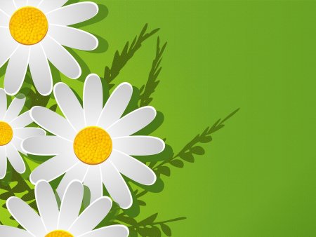 Семья в ромашках