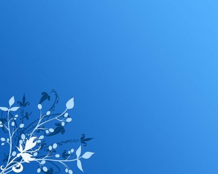 Фон бабочки