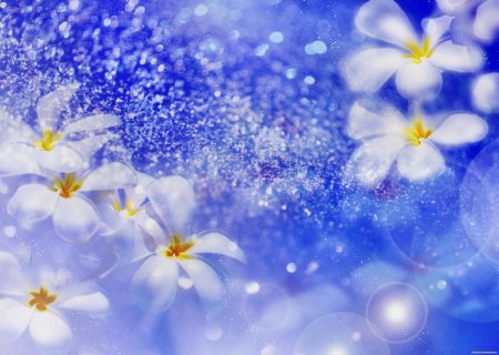 Красивые цветы на голубом фоне