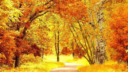 Золотая осень