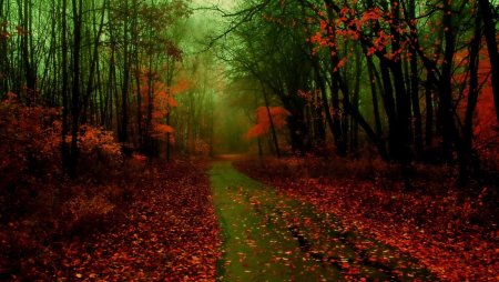 Красный лес