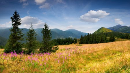 Поляна в горах