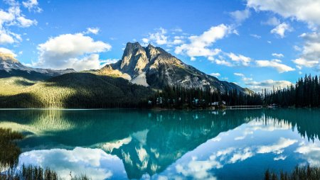Природа в качестве 4к
