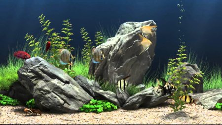 Dream Aquarium игра
