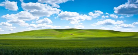 Обои на рабочий стол безмятежность