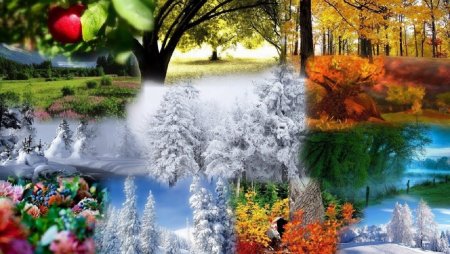 Коллаж природа