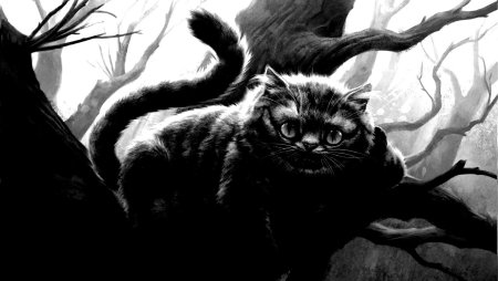 Чеширский кот