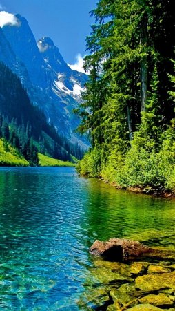 Красивые пейзажи вертикальные