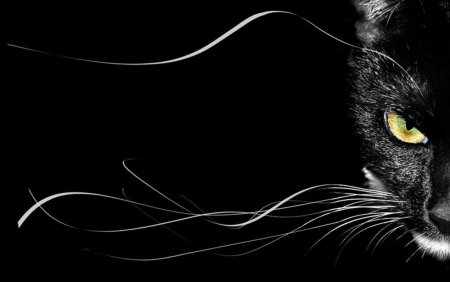 Рисунки на черном фоне