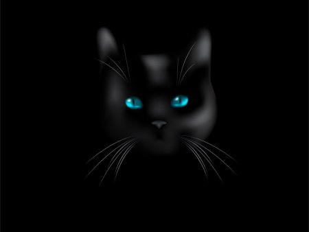 Кошачьи глаза на темном фоне