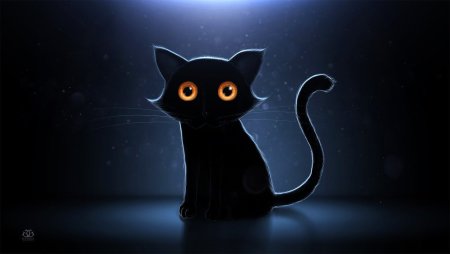 Котик на черном фоне