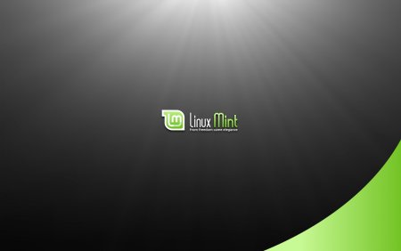 Заставка на рабочий стол Linux Mint