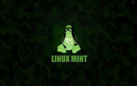 Linux Mint 20 рабочий стол